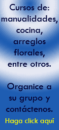 �No sabe c�mo hacer X � Y?  Organice a un grupo de personas cercanas a usted y comparta unas clases de cocina, arreglos florales, manualidades, entre otros.   Tel�fono:  2441-2411