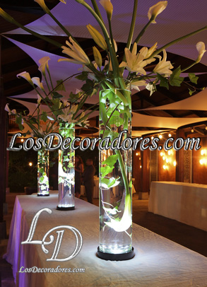 Decoraci�n con luz led y calas